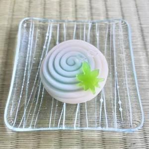 Shizuku Tsukinoの写メ日記|エレガント 吉原高級店ソープ