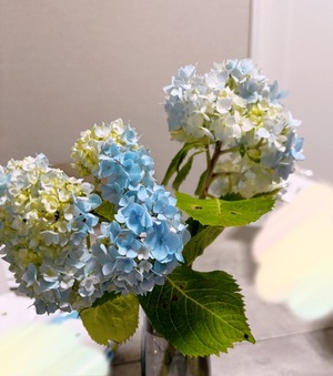 Anju Aiharaの写メ日記｜エレガント 吉原高級店ソープ