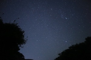 Sena Mizuharaの写メ日記｜エレガント 川崎高級店ソープ