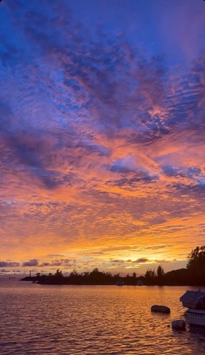 Sena Mizuharaの写メ日記｜エレガント 吉原高級店ソープ