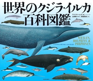 Sena Mizuharaの写メ日記｜エレガント 吉原高級店ソープ