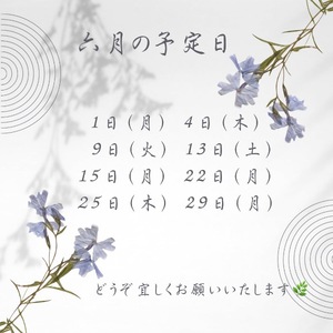 Jun Kurokiの写メ日記｜エレガント 川崎高級店ソープ
