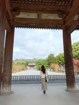 白鹿 さと美の写メ日記｜エトワール 吉原高級店ソープ