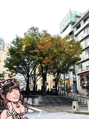 小桜みるく。の写メ日記｜エトワール 吉原高級店ソープ