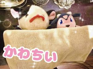 小桜みるく。の写メ日記｜エトワール 吉原高級店ソープ