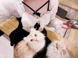 弓原れいの写メ日記｜エトワール 吉原高級店ソープ