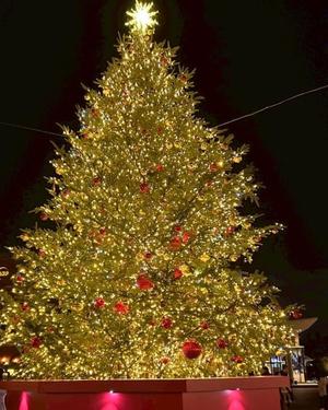 れいか【20代】の写メ日記｜ガータープリンセス&ミセス 吉原格安店ソープ