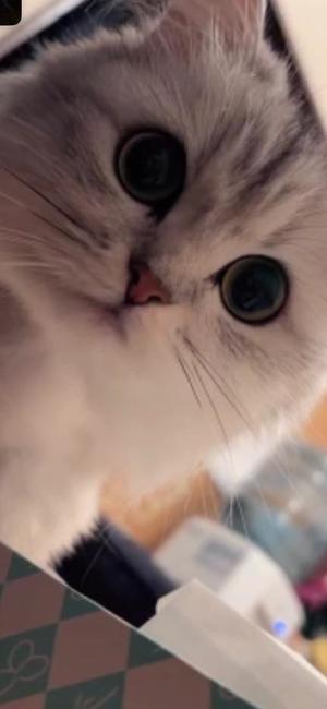 シュリ【20代】の写メ日記｜ガータープリンセス&ミセス 吉原格安店ソープ