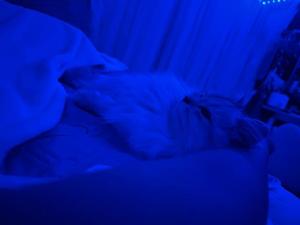 シュリ【20代】の写メ日記｜ガータープリンセス&ミセス 吉原格安店ソープ