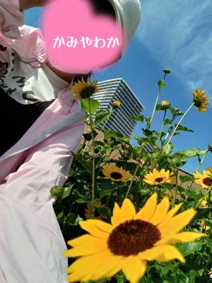 神谷和花の写メ日記｜ハールブルク 吉原高級店ソープ