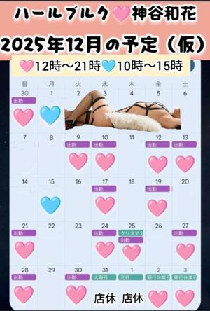 神谷和花の写メ日記｜ハールブルク 吉原高級店ソープ