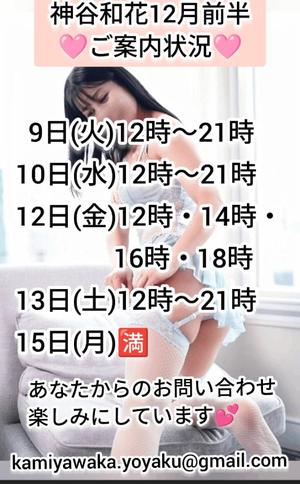 神谷和花の写メ日記｜ハールブルク 吉原高級店ソープ