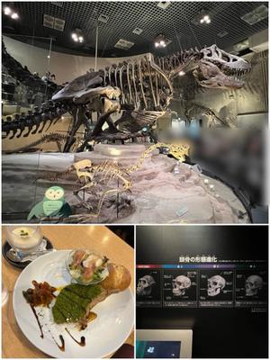 雨宮ひとみの写メ日記｜ハールブルク 吉原高級店ソープ