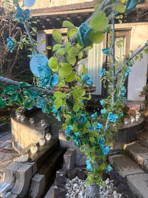 乃木風香の写メ日記｜ハールブルク 吉原高級店ソープ