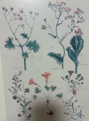 乃木風香の写メ日記｜ハールブルク 吉原高級店ソープ