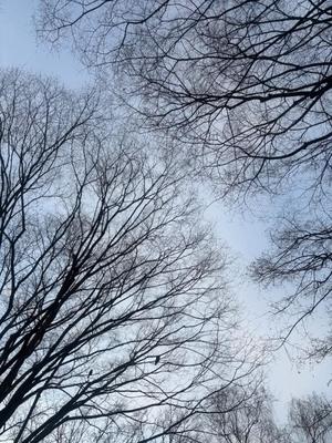 乃木風香の写メ日記｜ハールブルク 吉原高級店ソープ