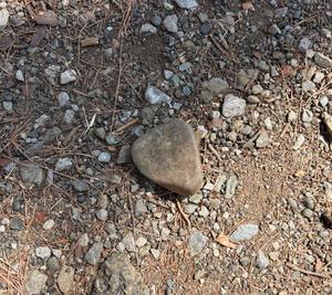 乃木風香の写メ日記｜ハールブルク 吉原高級店ソープ