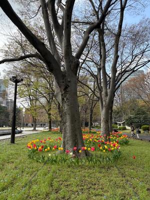 乃木風香の写メ日記｜ハールブルク 吉原高級店ソープ