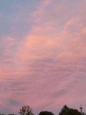 菜月理亜の写メ日記｜ハールブルク 吉原高級店ソープ