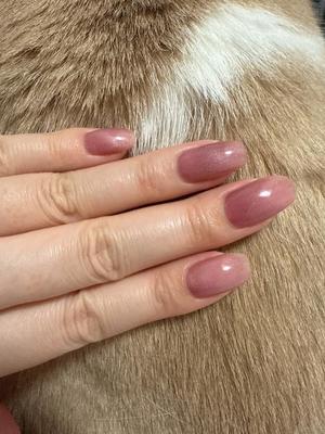 叶 麗花の写メ日記｜ハールブルク 吉原高級店ソープ