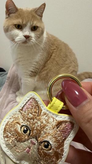 叶 麗花の写メ日記｜ハールブルク 吉原高級店ソープ