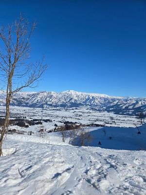 希咲由真の写メ日記｜ハールブルク 吉原高級店ソープ