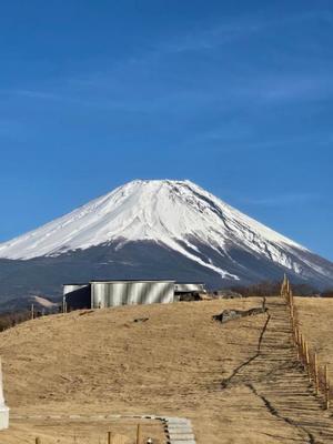 希咲由真の写メ日記｜ハールブルク 吉原高級店ソープ