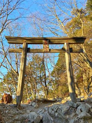 五月あいりの写メ日記|ハールブルク 吉原高級店ソープ