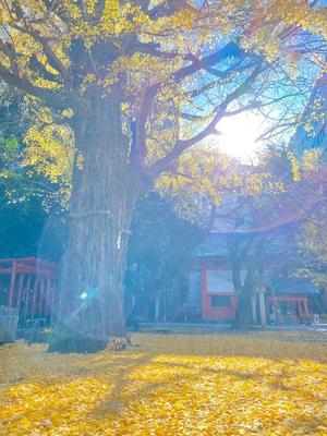 五月あいりの写メ日記｜ハールブルク 吉原高級店ソープ