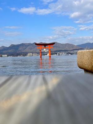 五月あいりの写メ日記|ハールブルク 吉原高級店ソープ