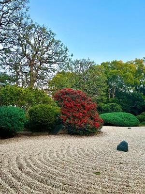 五月あいりの写メ日記｜ハールブルク 吉原高級店ソープ