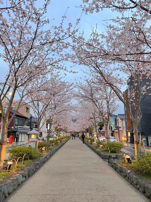 五月あいりの写メ日記｜ハールブルク 吉原高級店ソープ