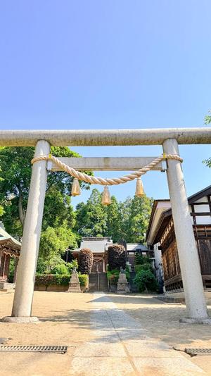五月あいりの写メ日記｜ハールブルク 吉原高級店ソープ
