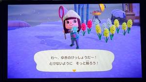 五月あいりの写メ日記｜ハールブルク 吉原高級店ソープ