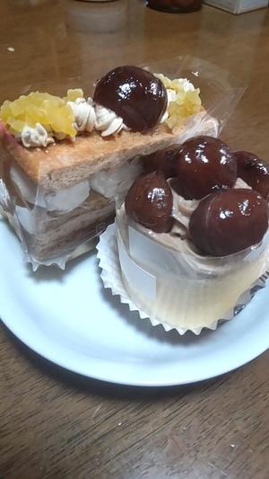 白鷺さらの写メ日記｜ハールブルク 吉原高級店ソープ