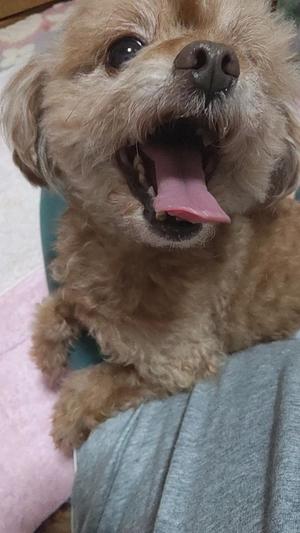 白鷺さらの写メ日記｜ハールブルク 吉原高級店ソープ