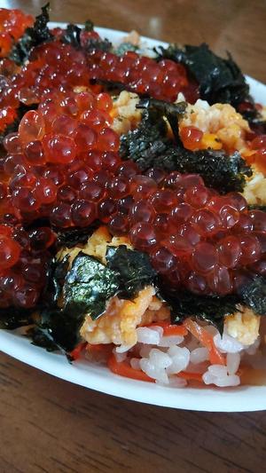 白鷺さらの写メ日記｜ハールブルク 吉原高級店ソープ