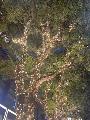 松居楽々の写メ日記｜ハールブルク 吉原高級店ソープ