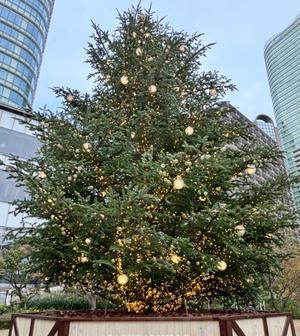 鈴川乃愛の写メ日記｜ハールブルク 吉原高級店ソープ