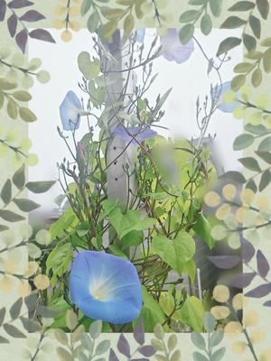 梅宮六花の写メ日記｜ハールブルク 吉原高級店ソープ