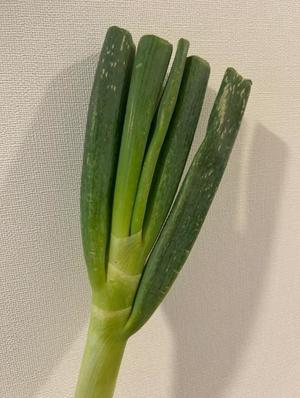 五十嵐理華の写メ日記｜ハールブルク 吉原高級店ソープ