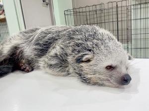 ユイの写メ日記｜秘書室 吉原高級店ソープ