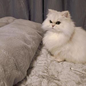 ゆかりの写メ日記｜ラビアンローズ 吉原高級店ソープ