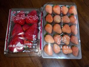 静香の写メ日記｜ラビアンローズ 吉原高級店ソープ