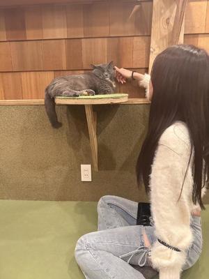 れいの写メ日記｜ラビアンローズ 吉原高級店ソープ