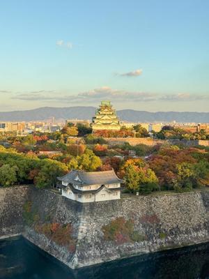 リオナの写メ日記|ラビアンローズ 吉原高級店ソープ