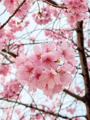 リオナの写メ日記｜ラビアンローズ 吉原高級店ソープ