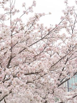 リオナの写メ日記|ラビアンローズ 吉原高級店ソープ