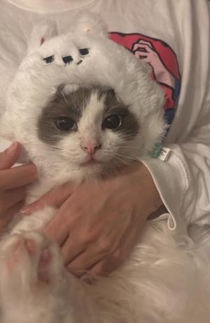 星月うるるの写メ日記｜ラブボート 吉原高級店ソープ