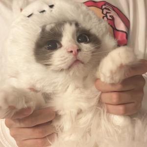 星月うるるの写メ日記｜ラブボート 吉原高級店ソープ